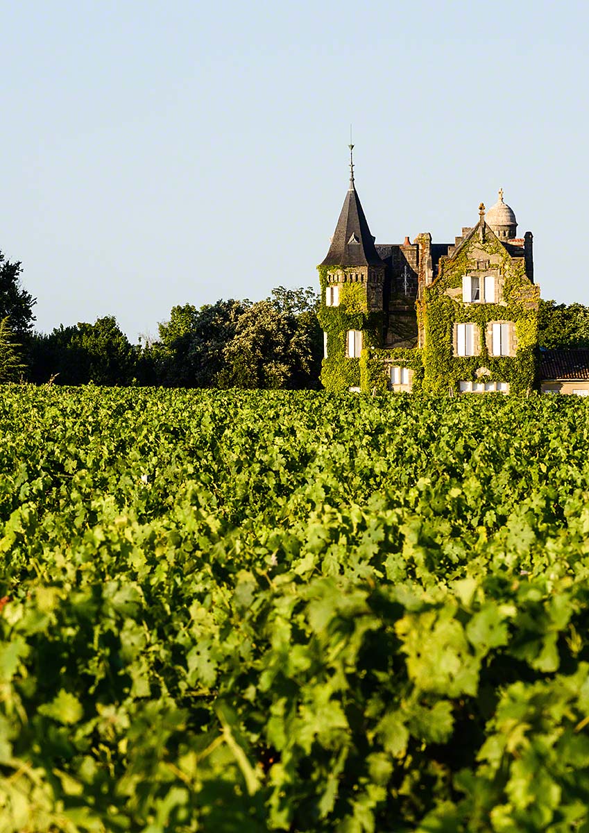 History-of-Counterfeit-Chateau