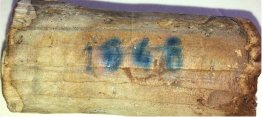 branding-on-cork