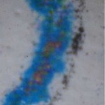 lithography-of-label3-150x150
