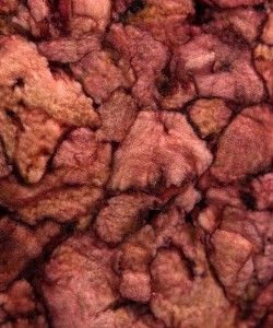 texture-of-cork-250x300